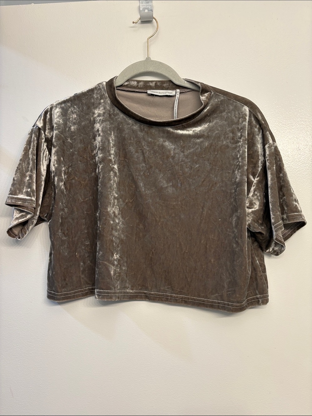 Urban Outfitters Shimmery Taupe Velvet Crop Tee Silver Party Top